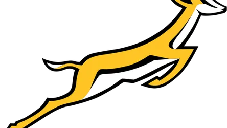 South Africa Rugby